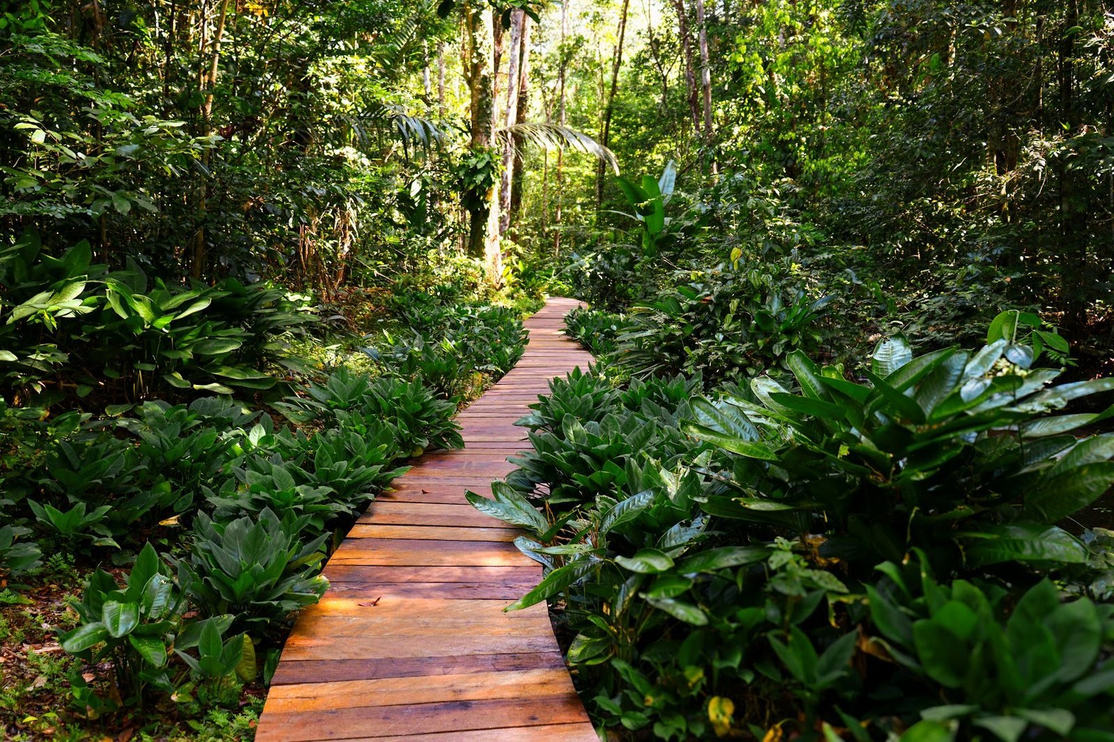 Área de cachoeira da pousada 12