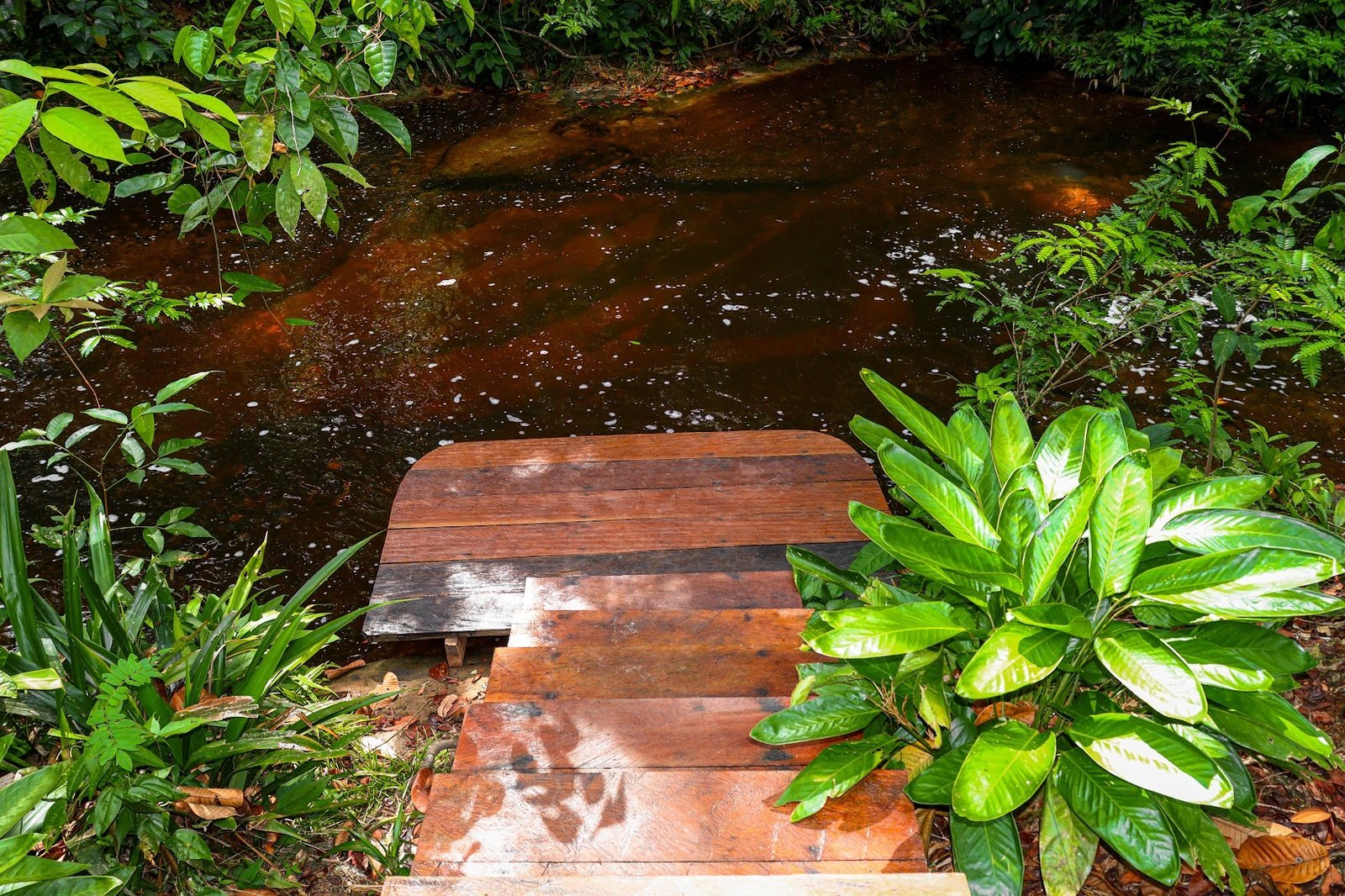 Área de cachoeira da pousada 17