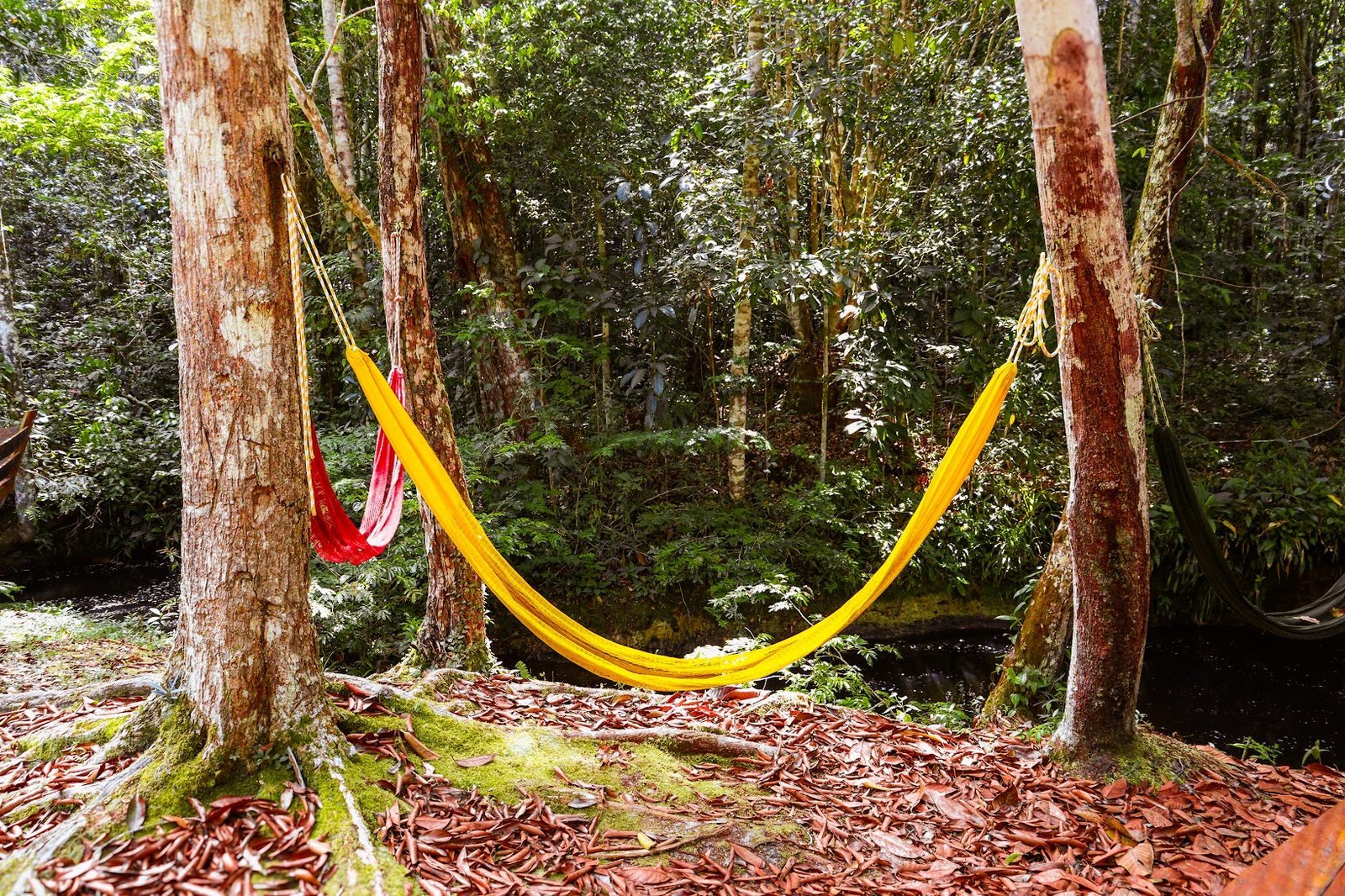 Área de cachoeira da pousada 7
