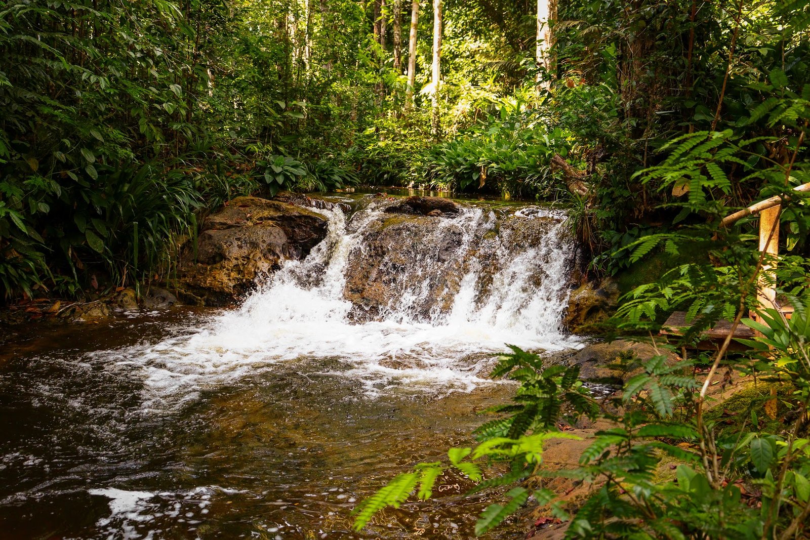 Pousada Paraíso do Calango Azul 51